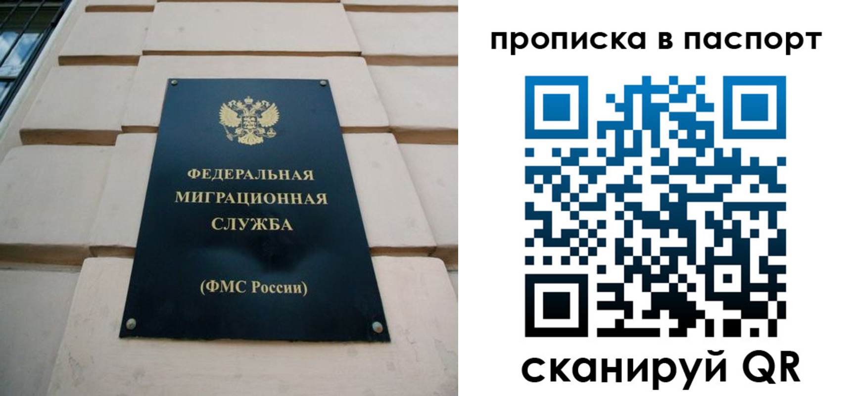 найти адрес прописки в Камчатской области